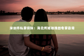 深圳市私家侦探：海北州婚姻挽回专家咨询