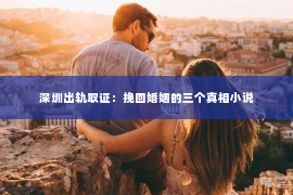 深圳出轨取证：挽回婚姻的三个真相小说