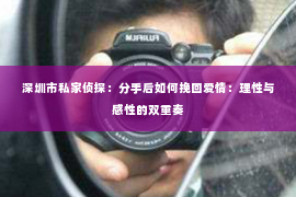 深圳市私家侦探：分手后如何挽回爱情：理性与感性的双重奏